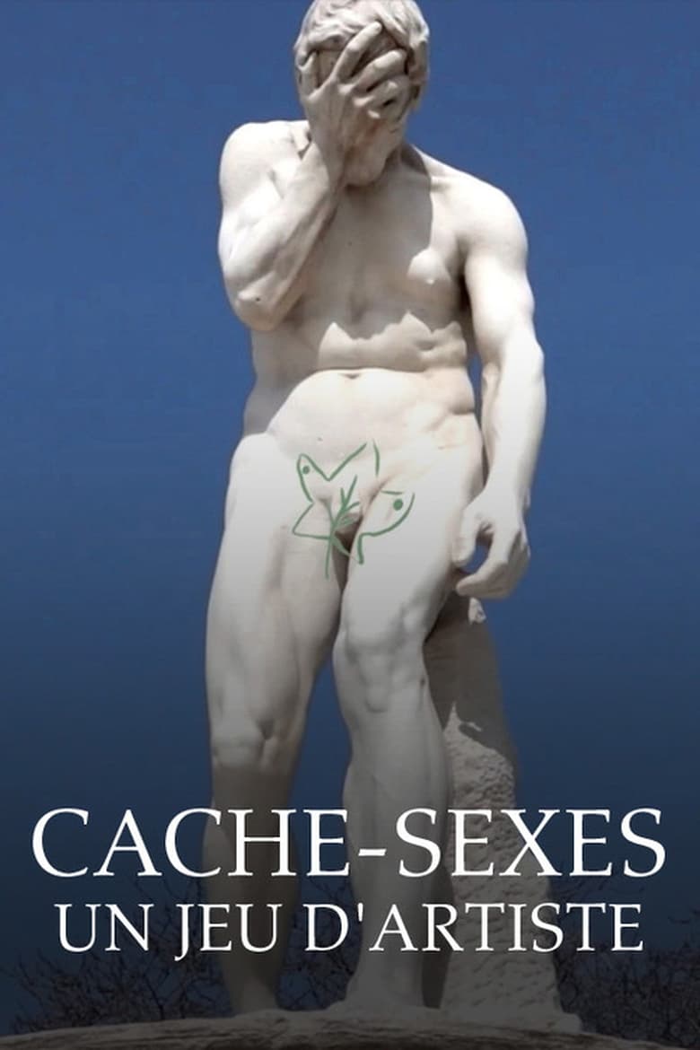 Poster of Cache-sexes - Un jeu d'artiste