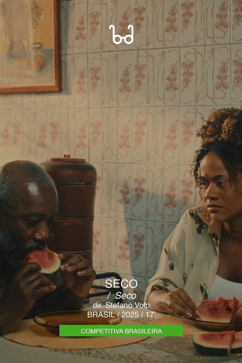Poster of Seco