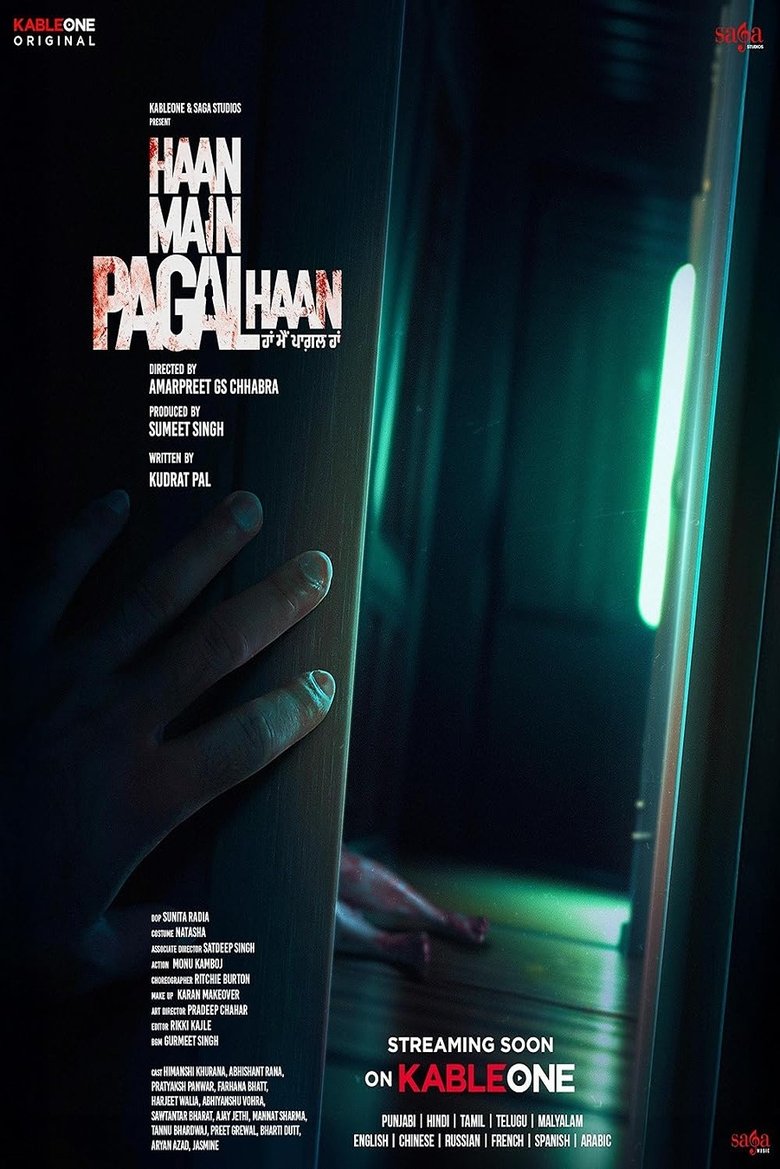 Poster of Haan Main Pagal Haan