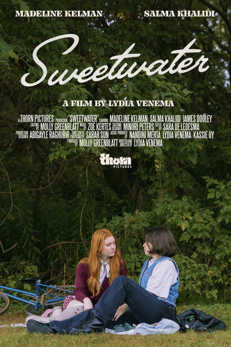 Poster of Sweetwater