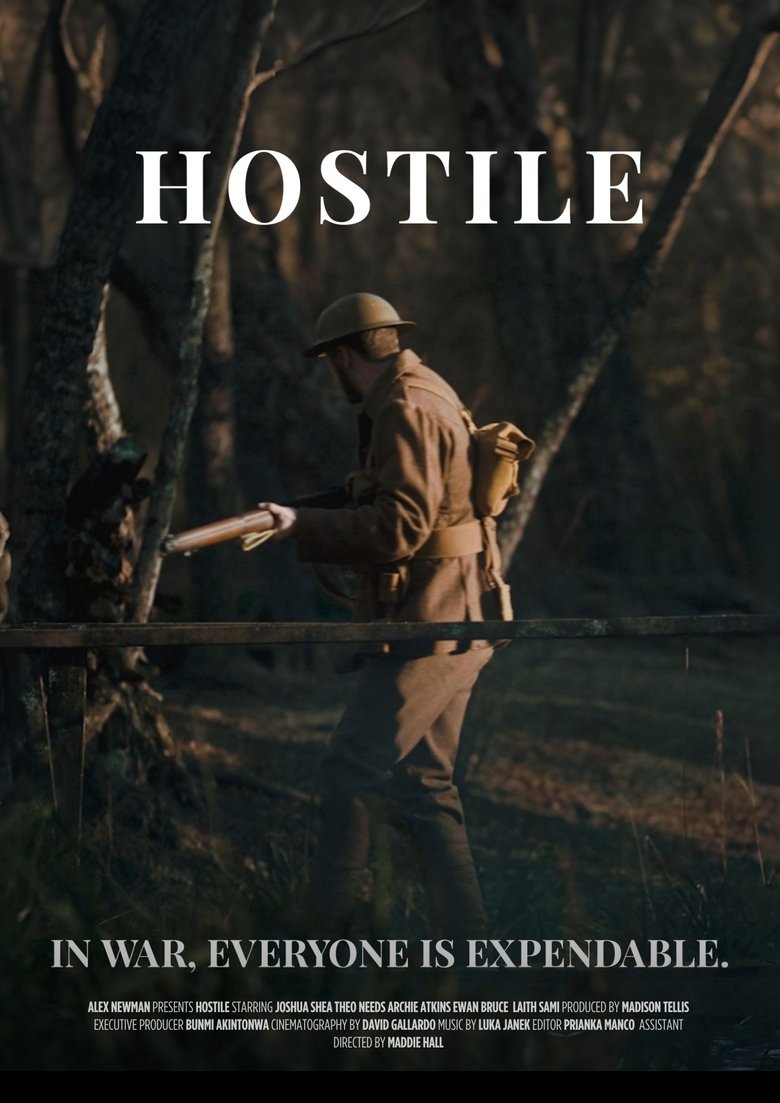 Poster of Hostile