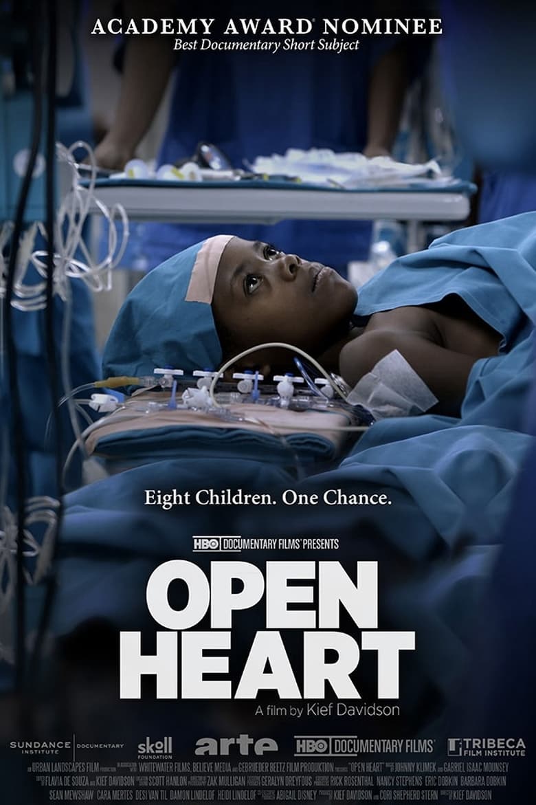 Poster of Open Heart