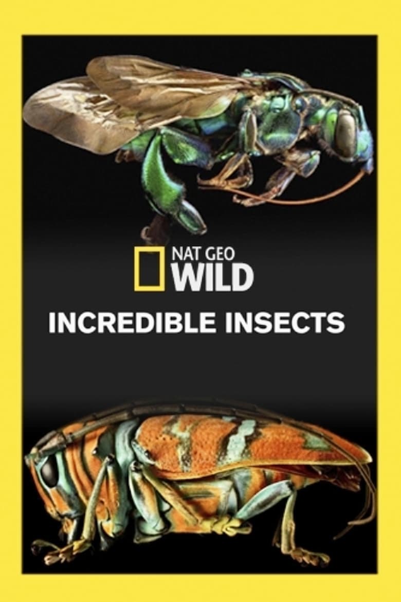 Poster of Incredible Insects