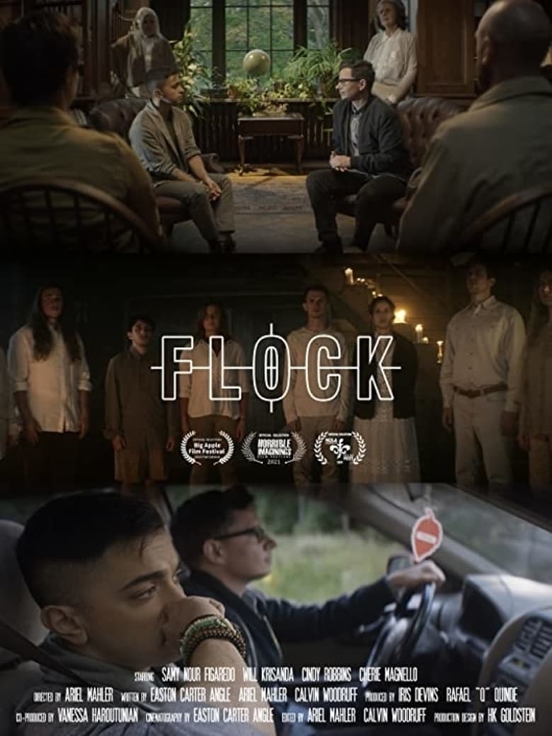 Poster of Flock