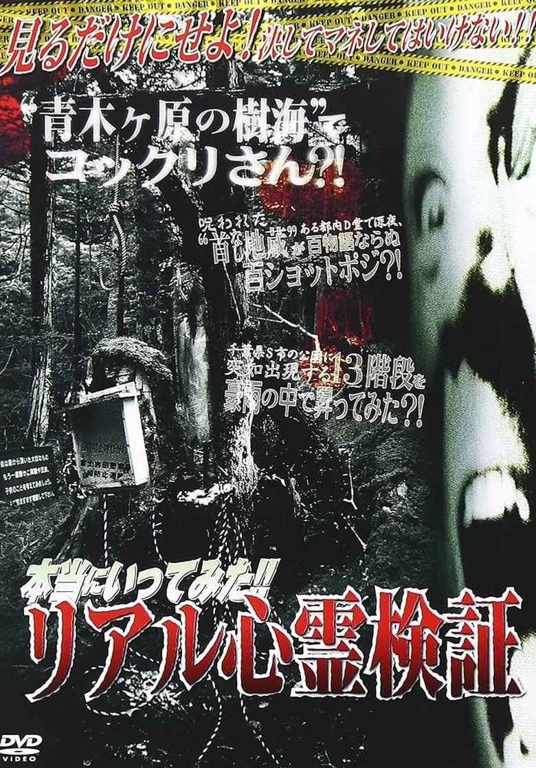 Poster of I Really Went There!! Real Supernatural Investigation