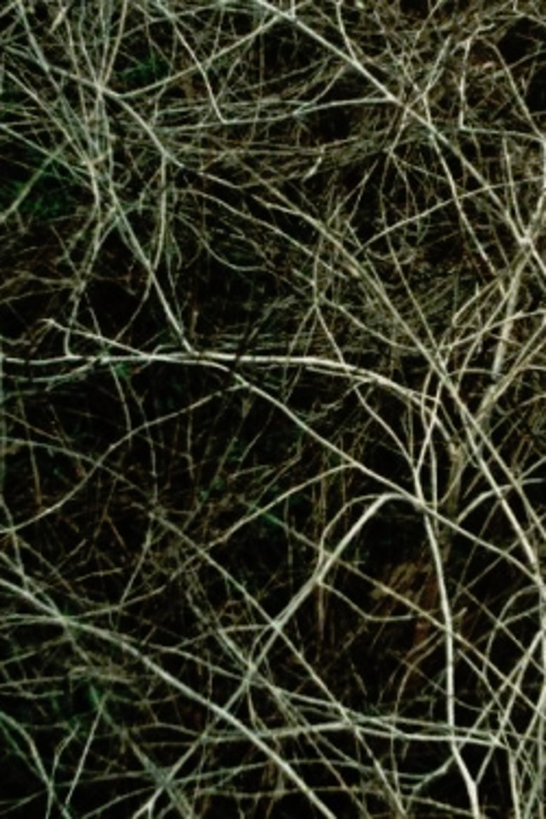 Poster of Epilogue
