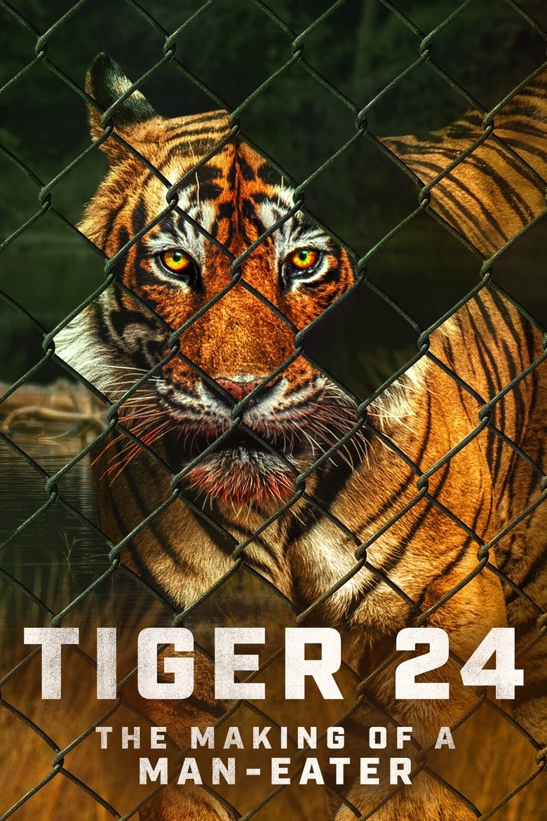 Poster of Tiger 24