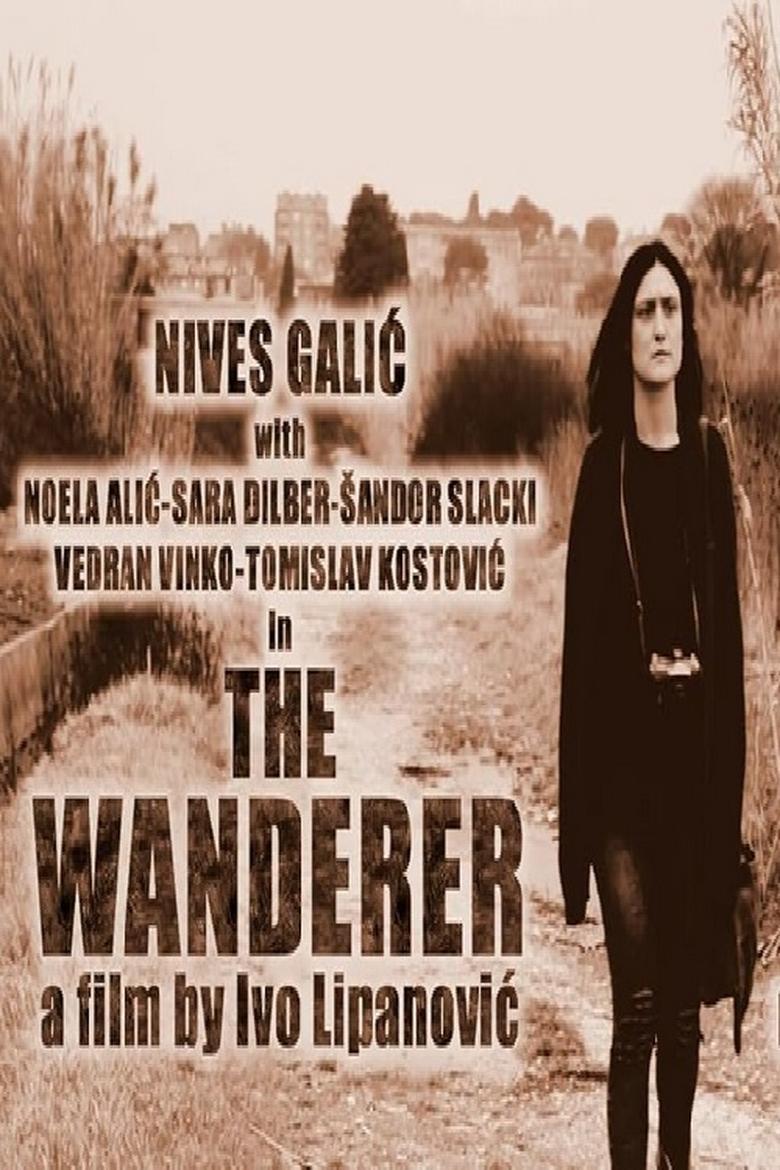 Poster of The Wanderer