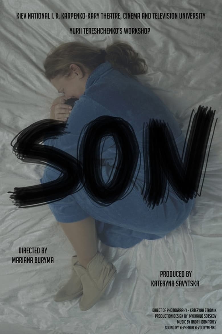 Poster of The Son