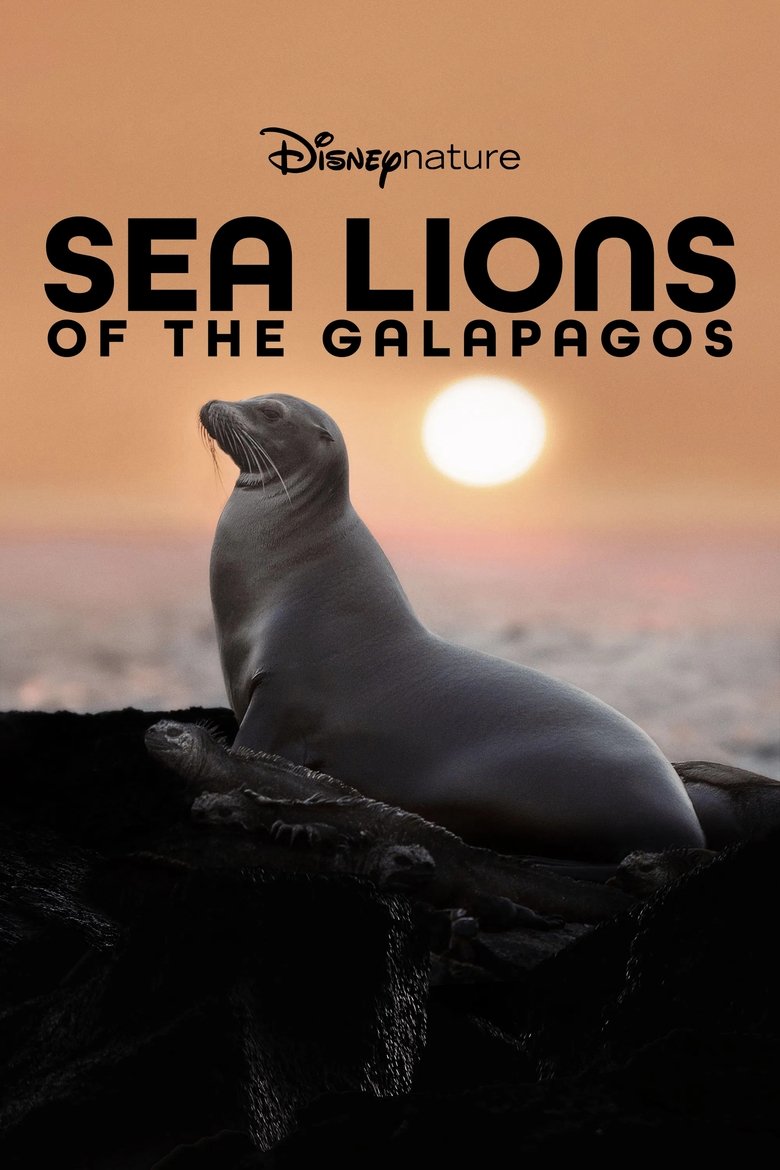Poster of Sea Lions of the Galapagos