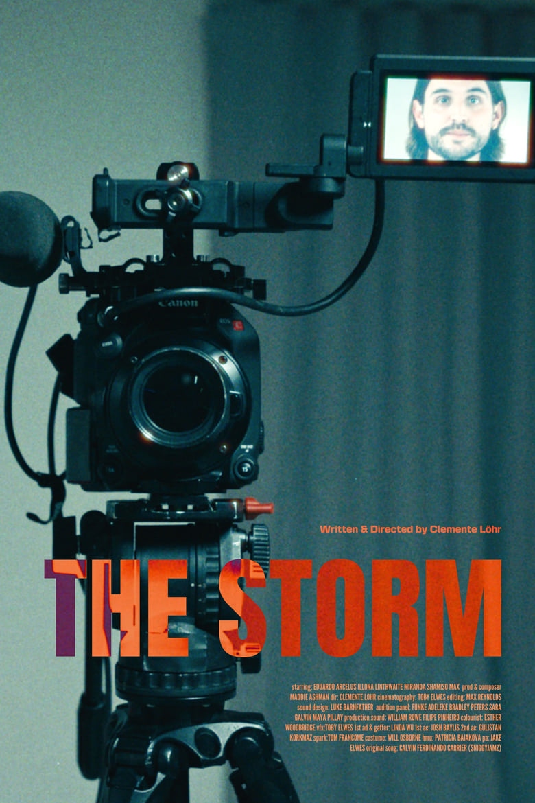 Poster of The Storm