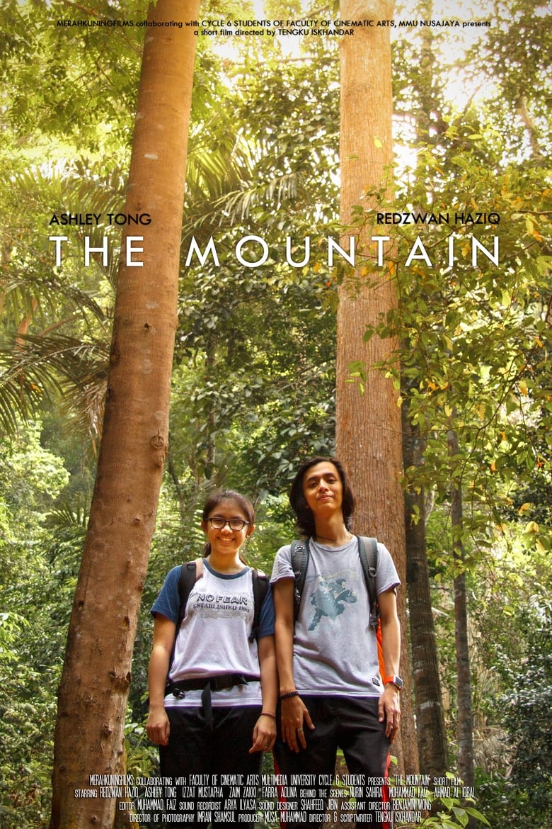 Poster of The Mountain