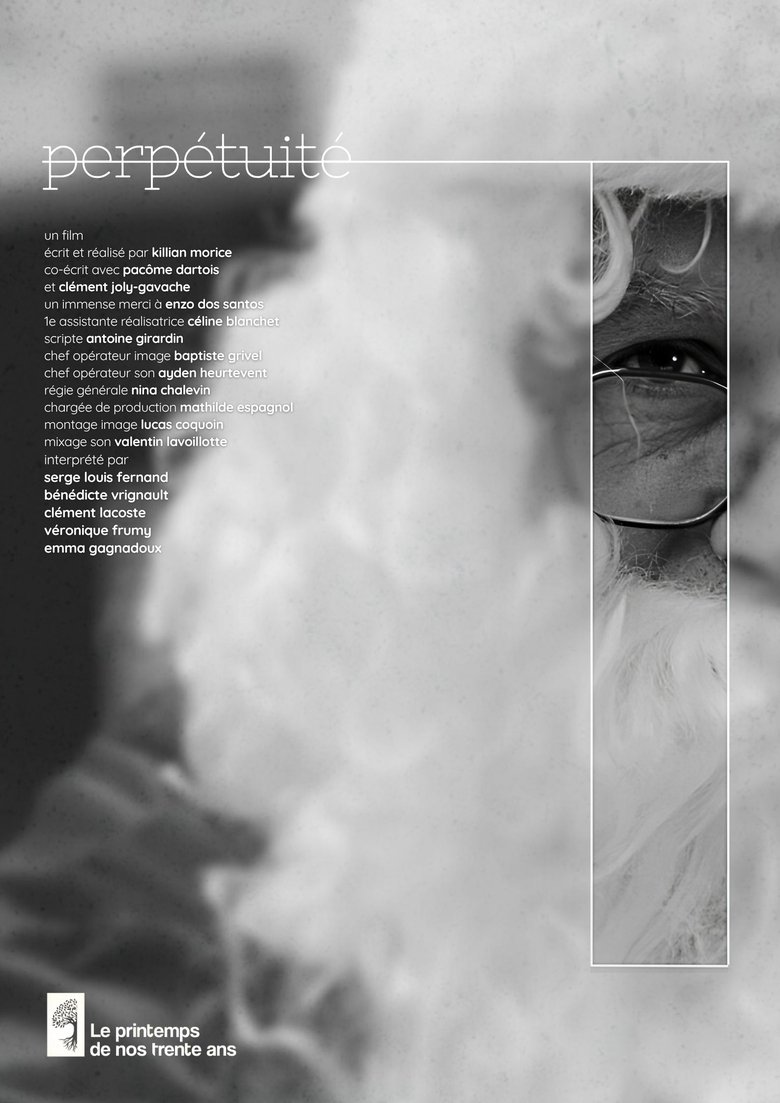 Poster of Perpétuité