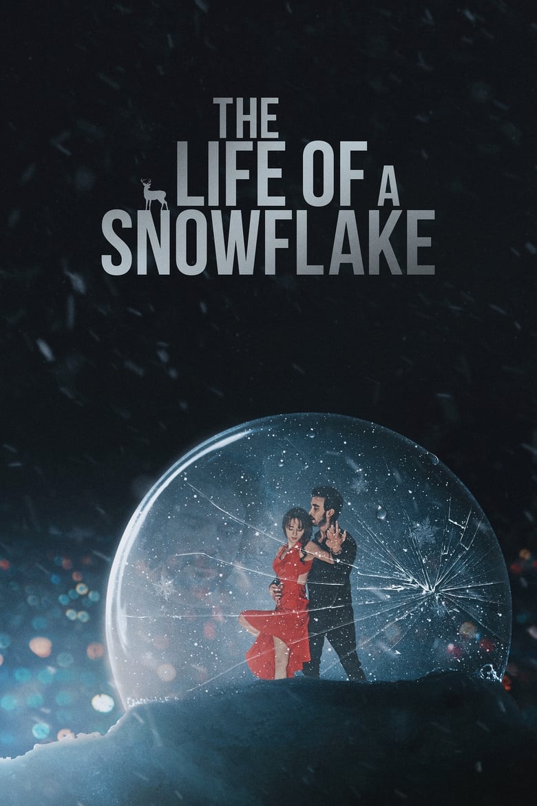 Poster of The Life of a Snowflake