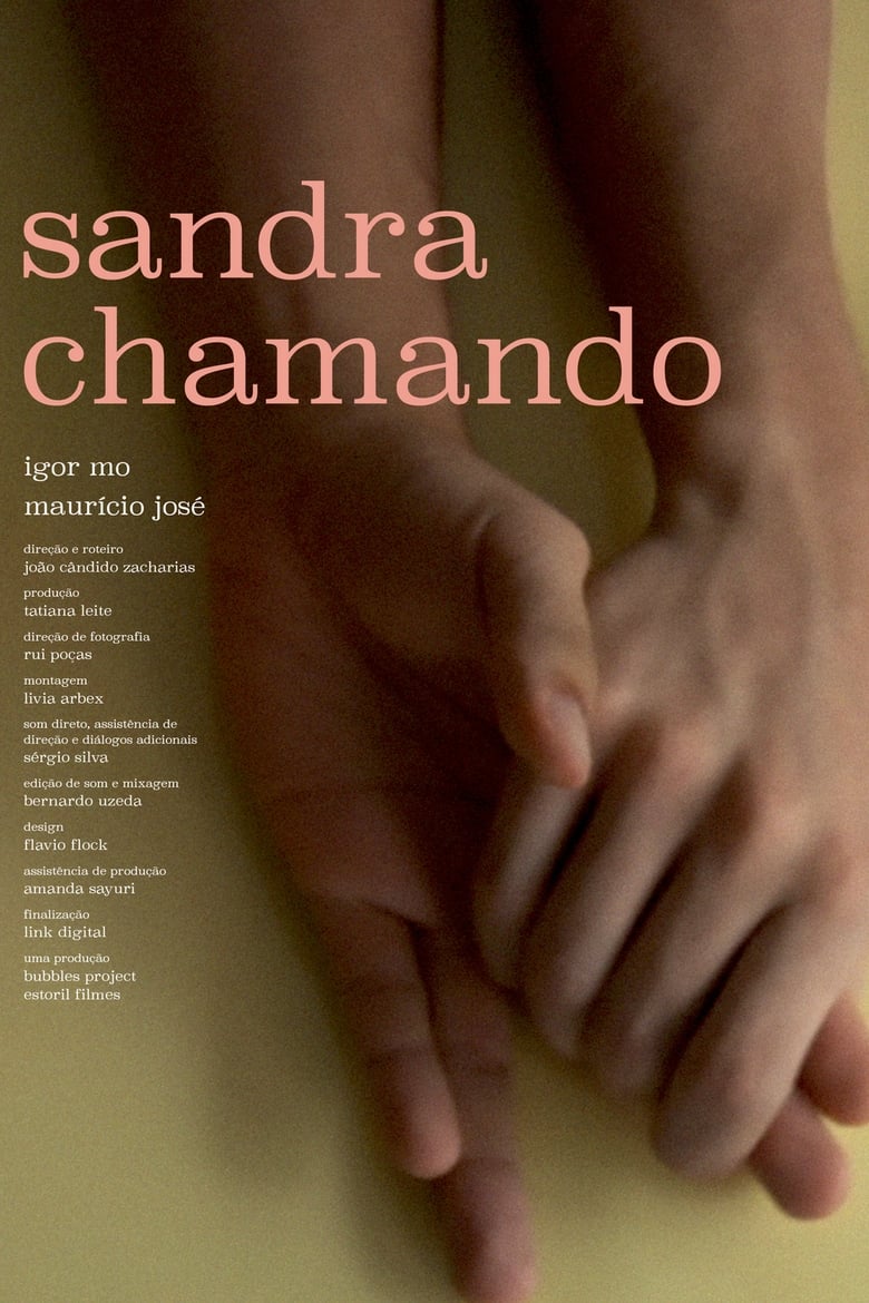 Poster of Sandra Calling