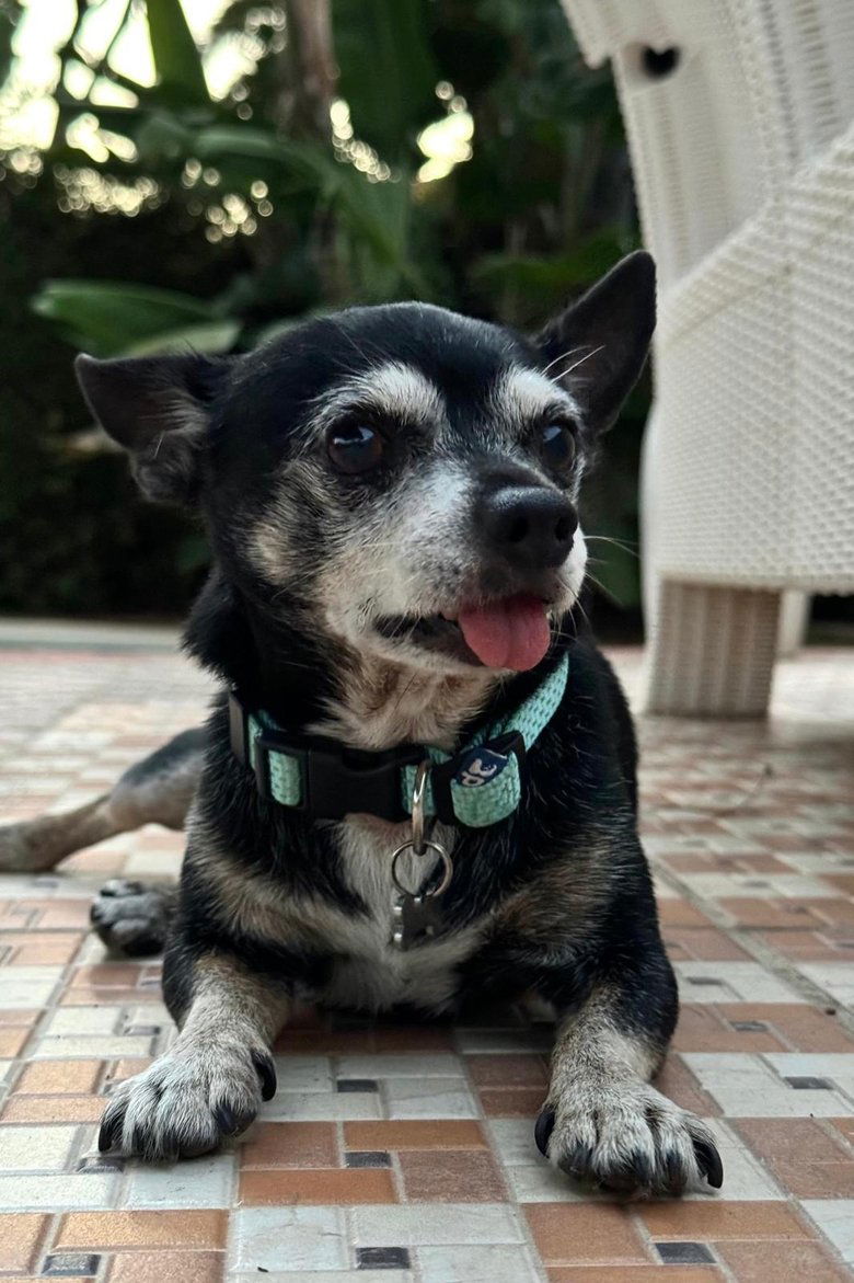 Portrait of Cuki