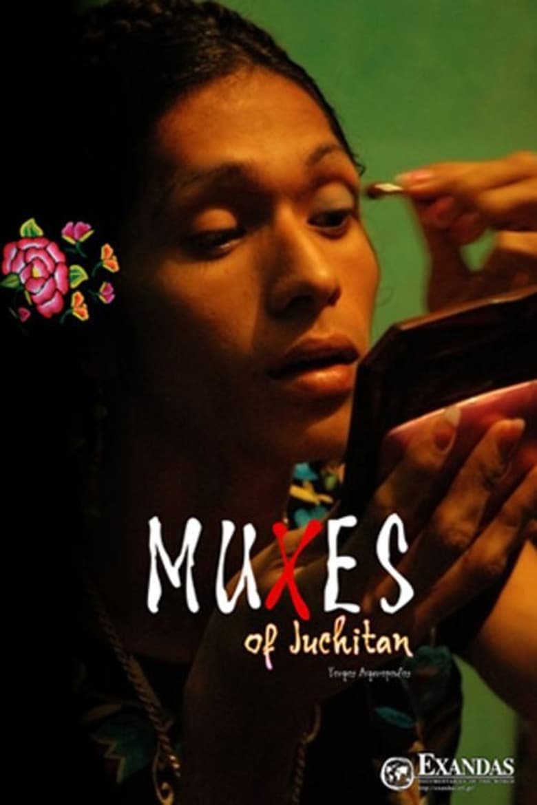 Poster of Muxes of Juchitán