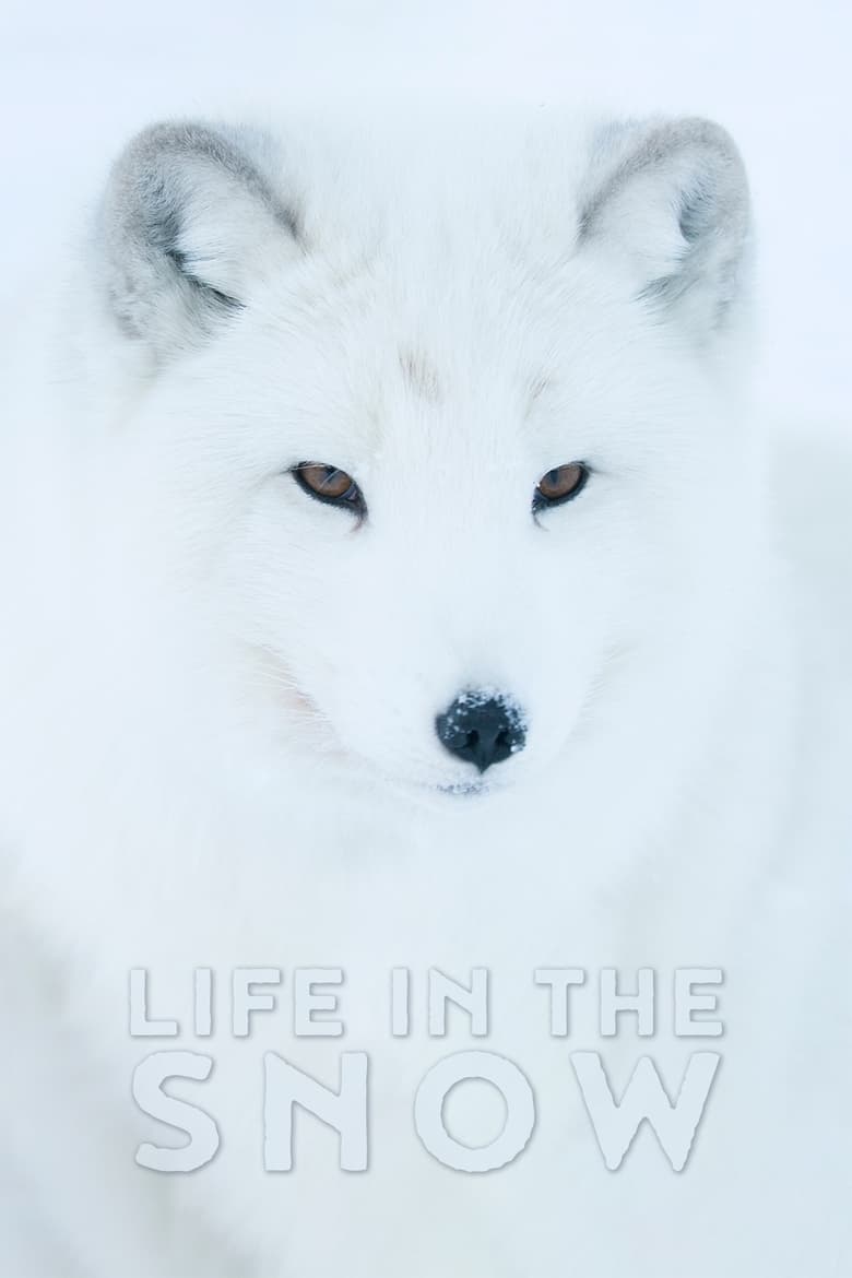 Poster of Life In The Snow