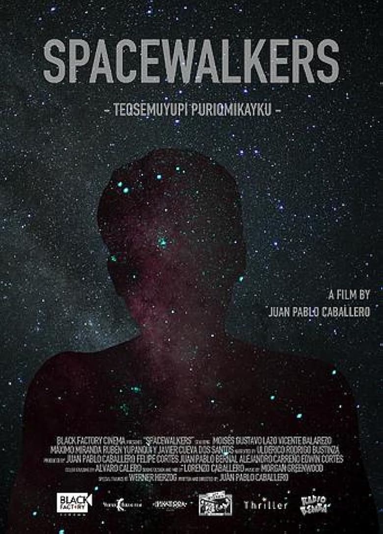 Poster of Spacewalkers