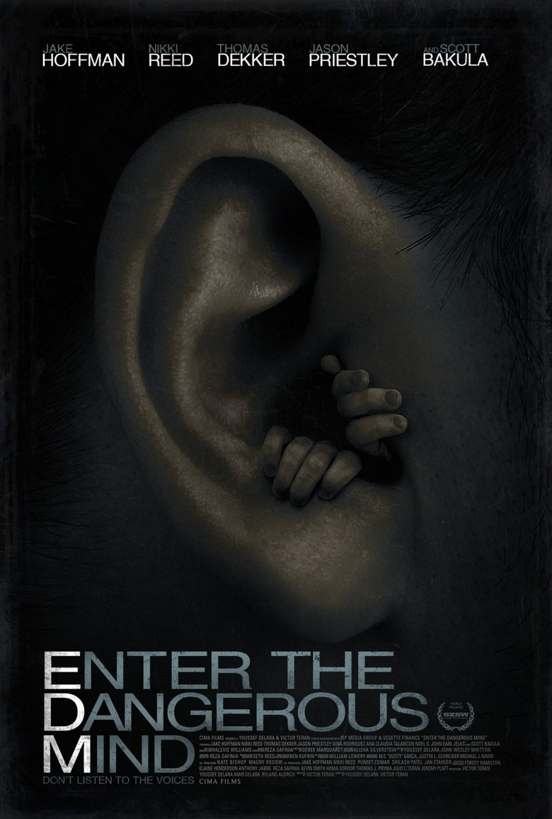 Poster of Enter the Dangerous Mind