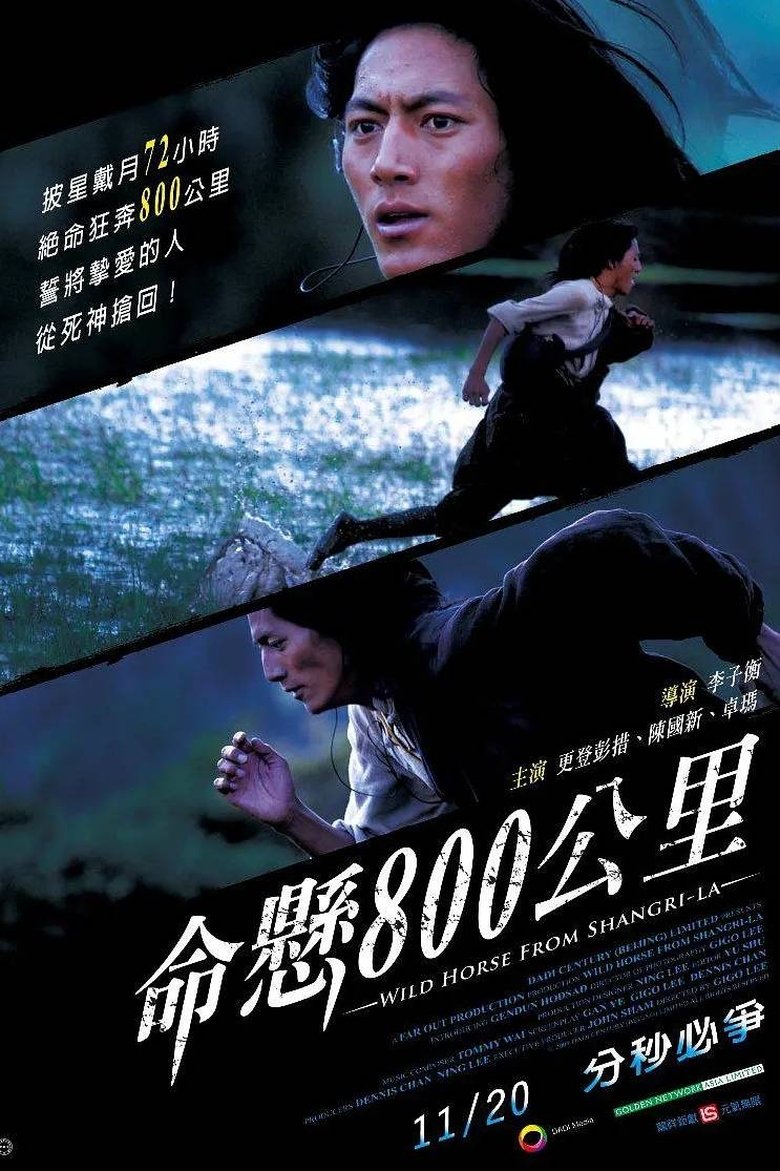 Poster of Wild Horse from Shangri-La