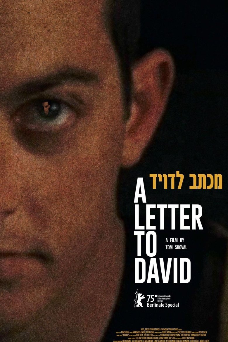 Poster of A Letter to David