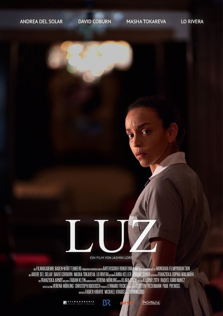 Poster of Luz