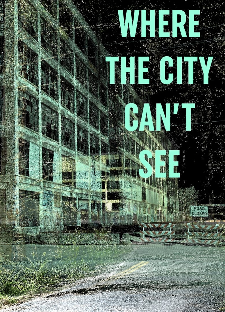 Poster of Where The City Can't See