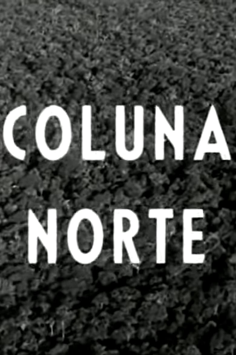 Poster of Coluna Norte