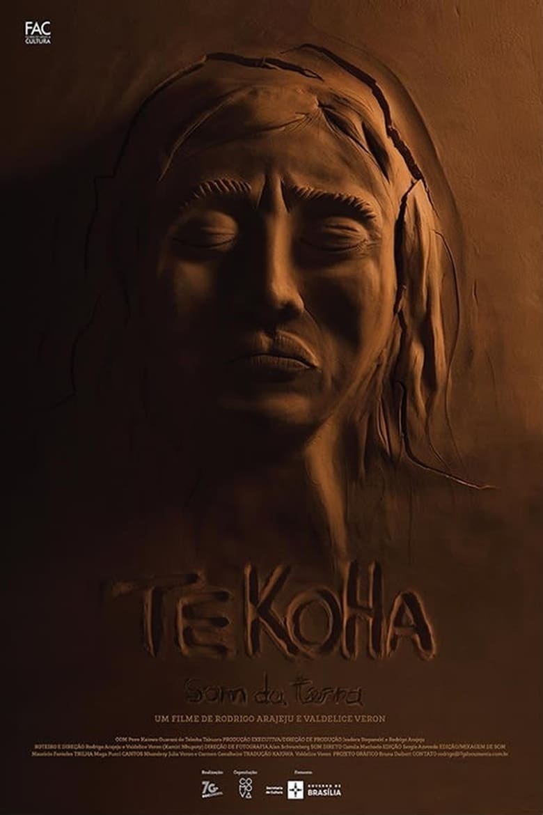 Poster of Tekoha - Som da Terra