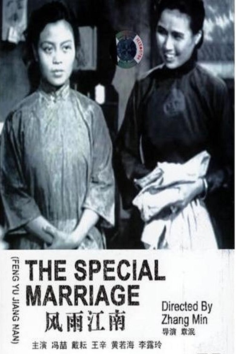 Poster of The Special Marriage