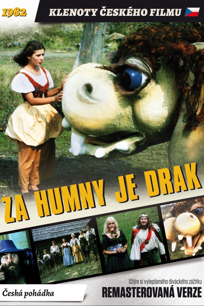 Poster of There is a Dragon Behind Humny