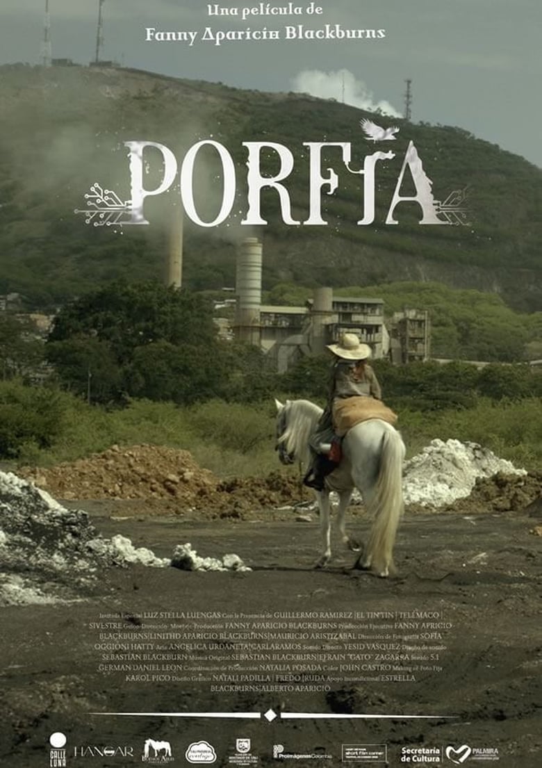 Poster of Porfía