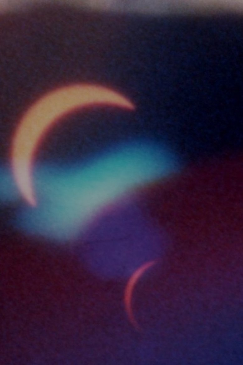 Poster of It Felt Like Night