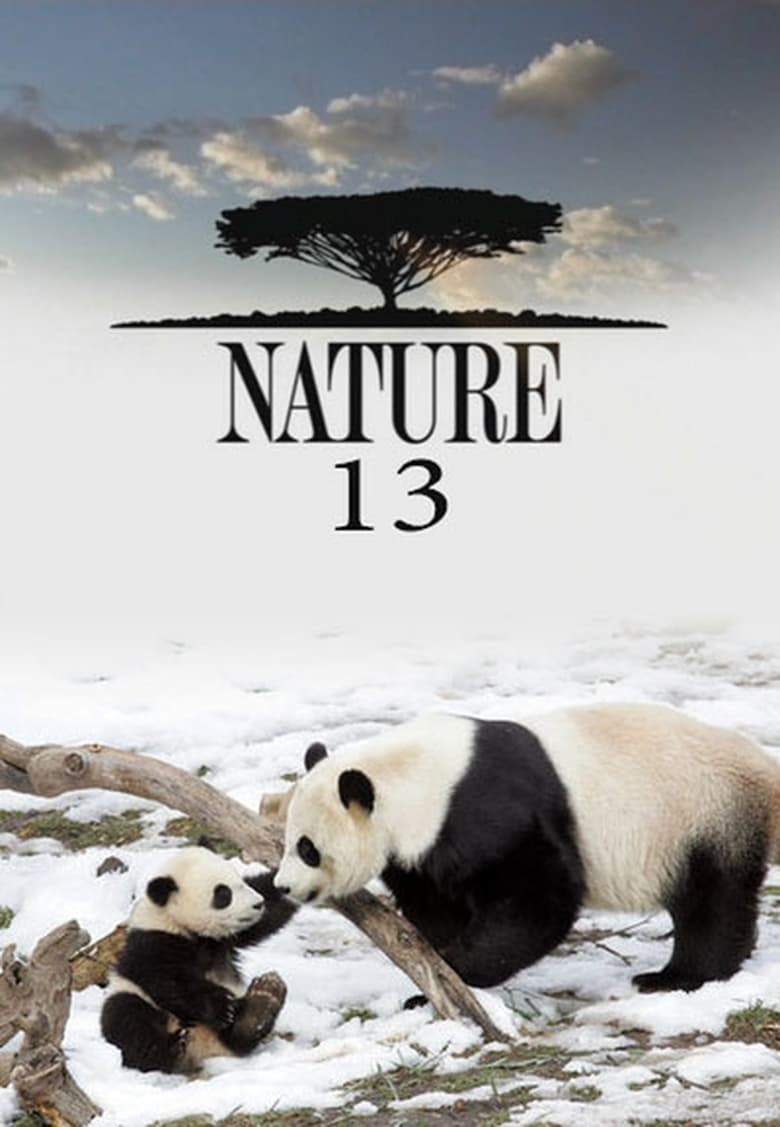 Poster of Episodes in Nature - Season 13 - Season 13