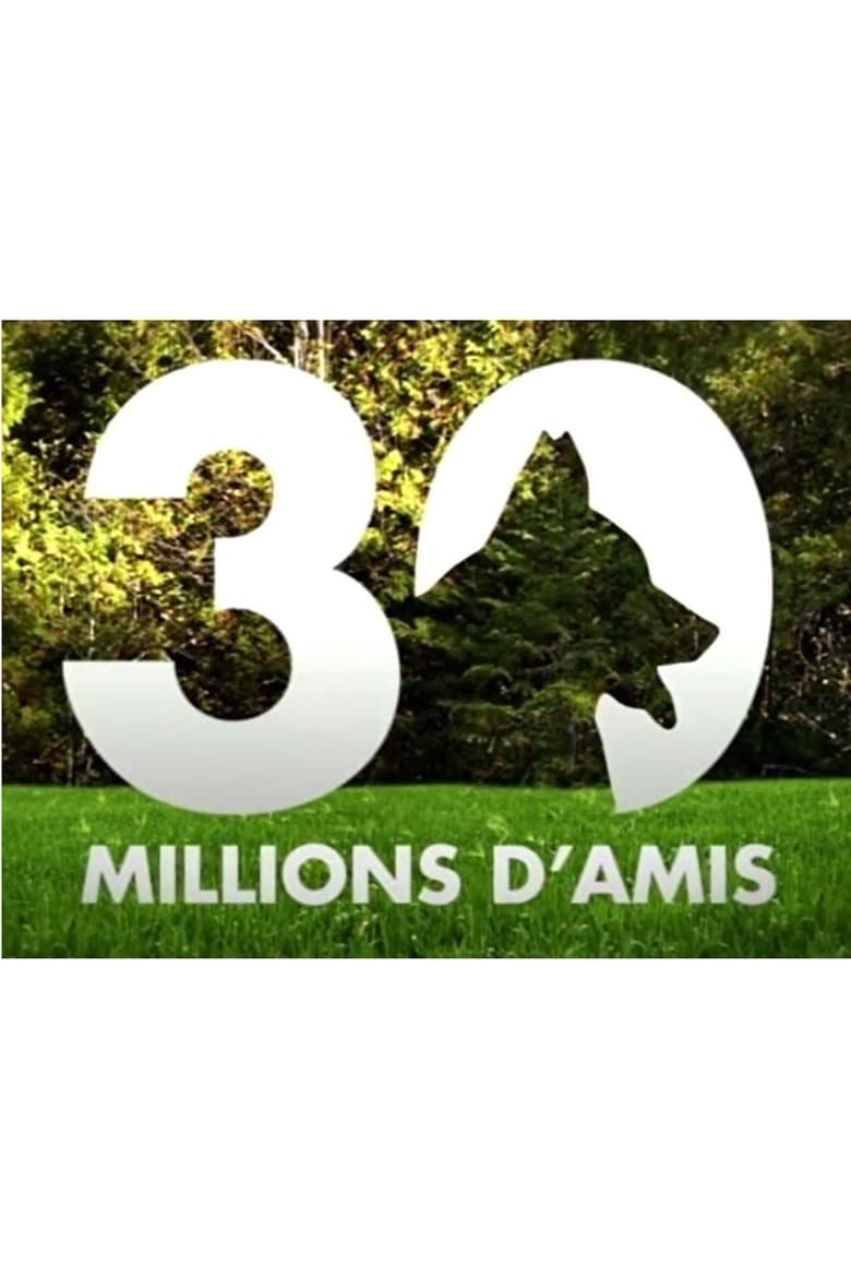 Poster of 30 millions d'amis