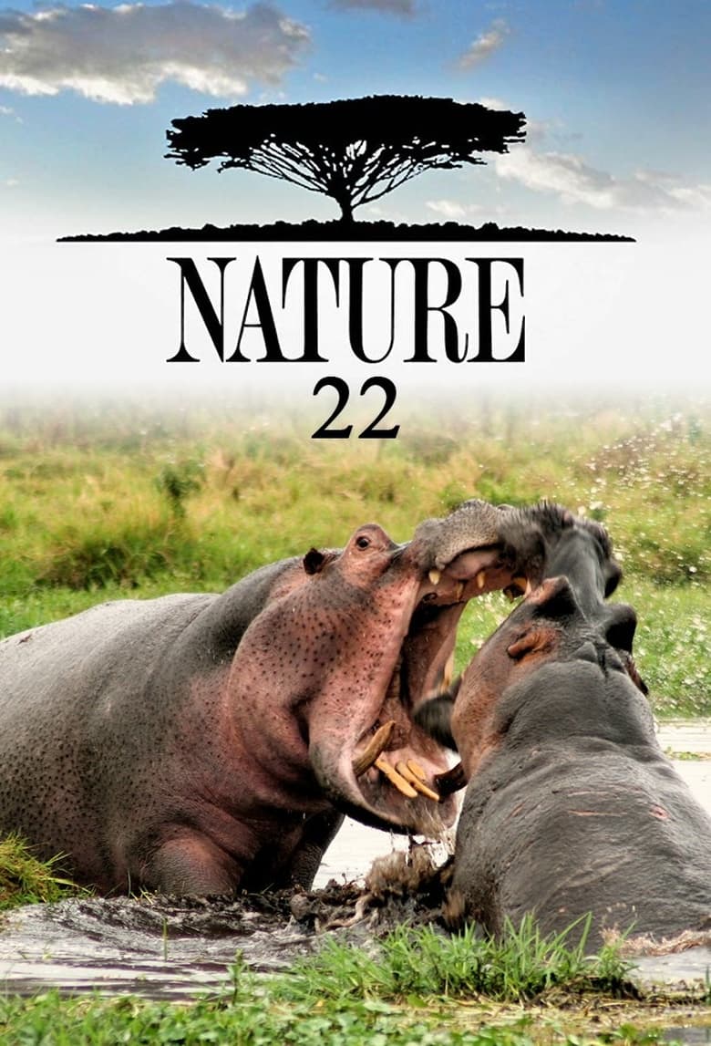 Poster of Cast and Crew in Nature - Season 22 - Episode 10 - Ireland