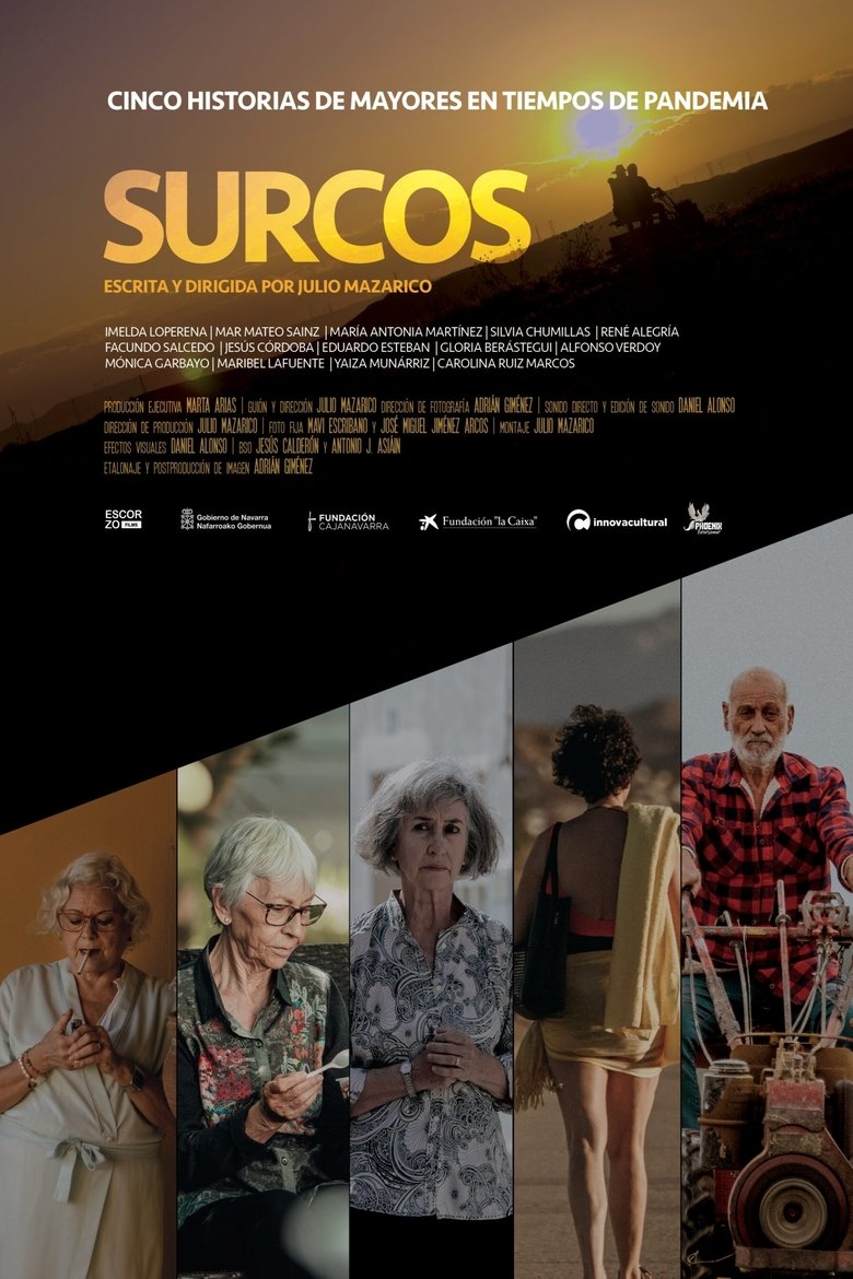 Poster of Surcos