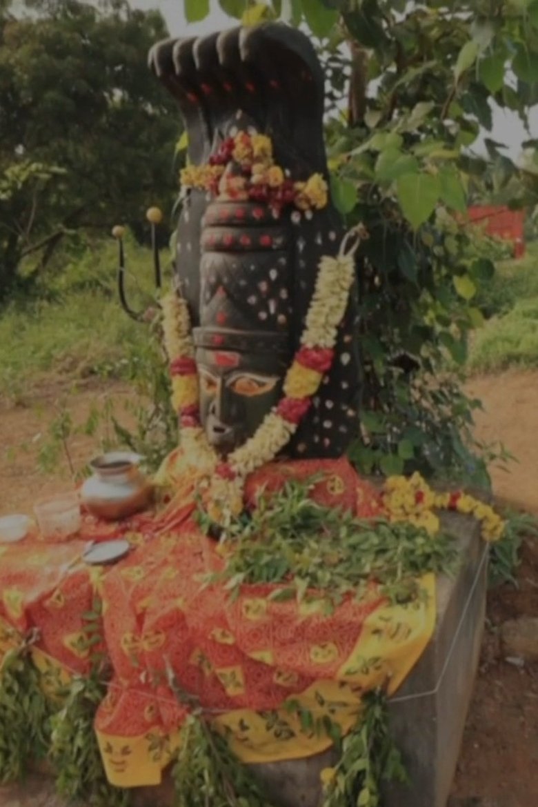 Poster of Inde du Sud, le charme Tamoul
