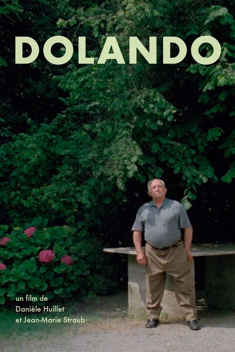 Poster of Dolando