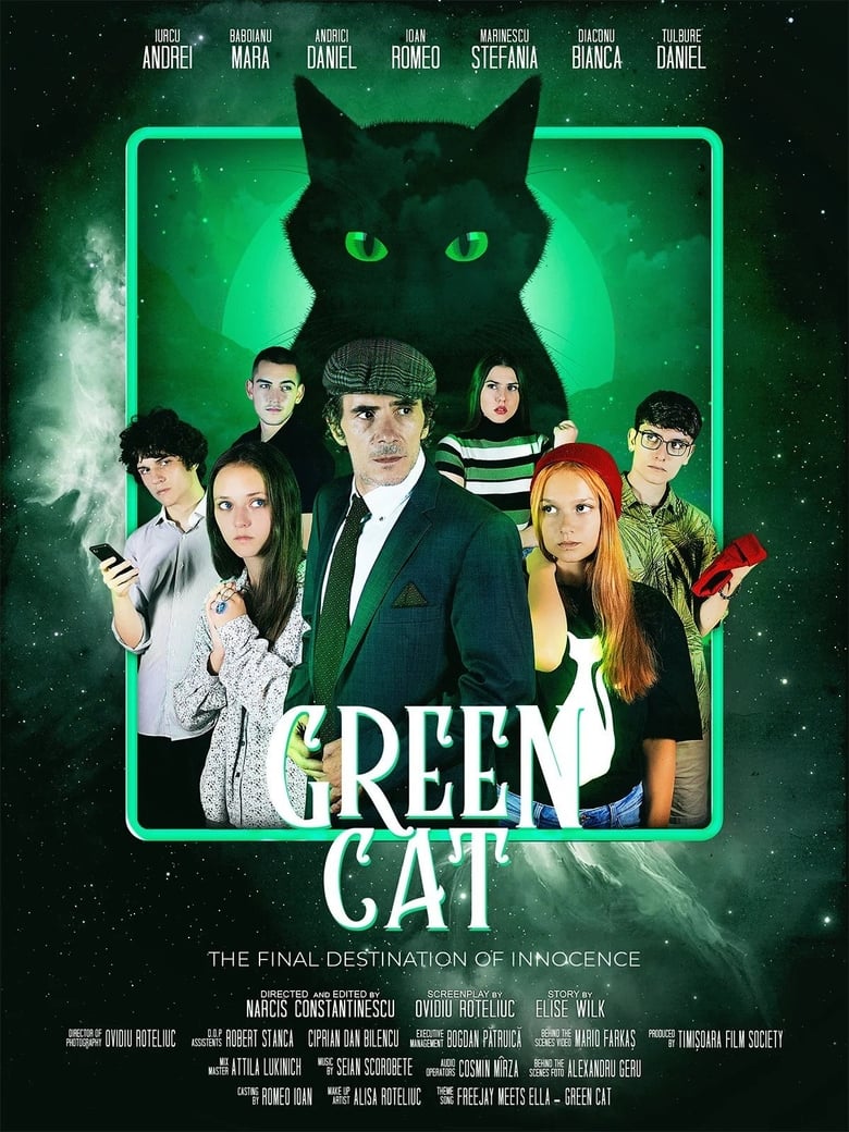 Poster of The Green Cat