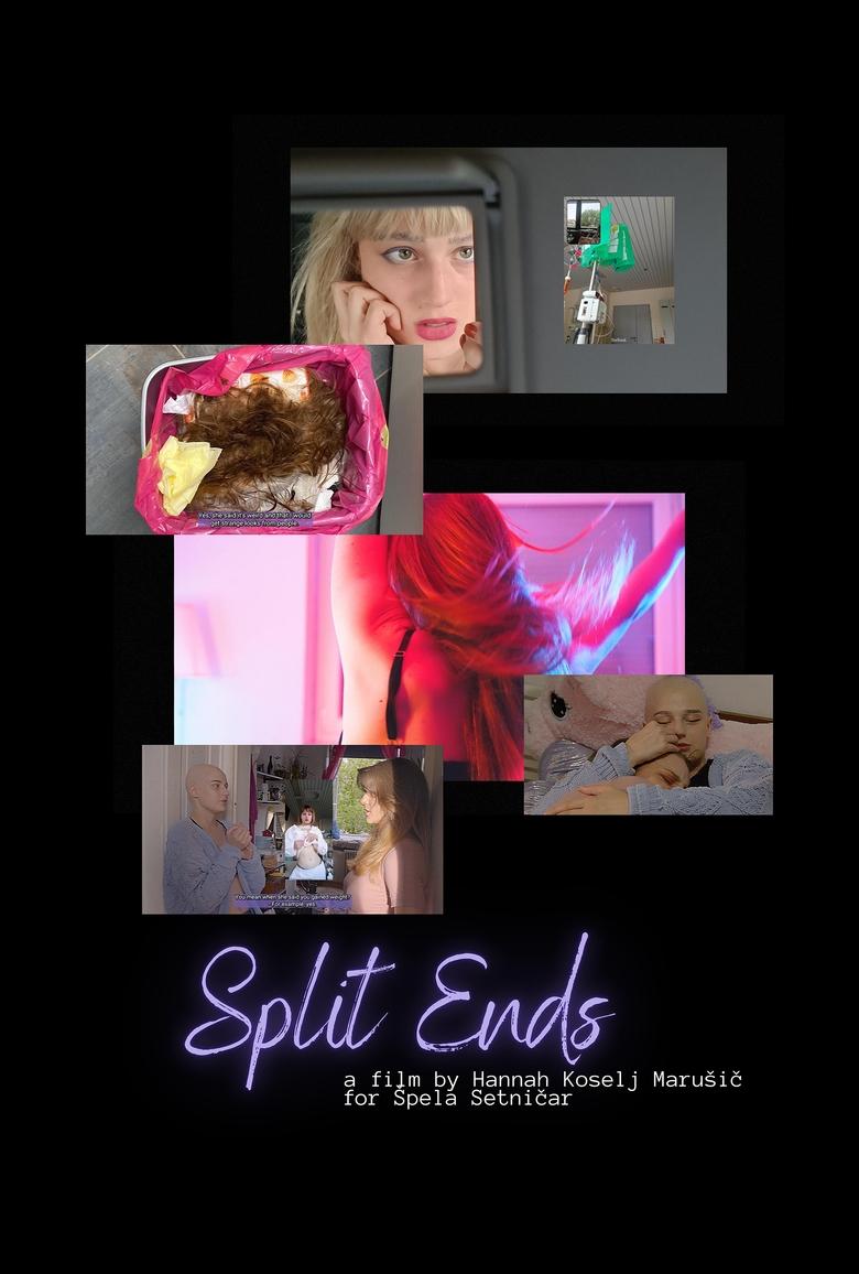 Poster of Split Ends