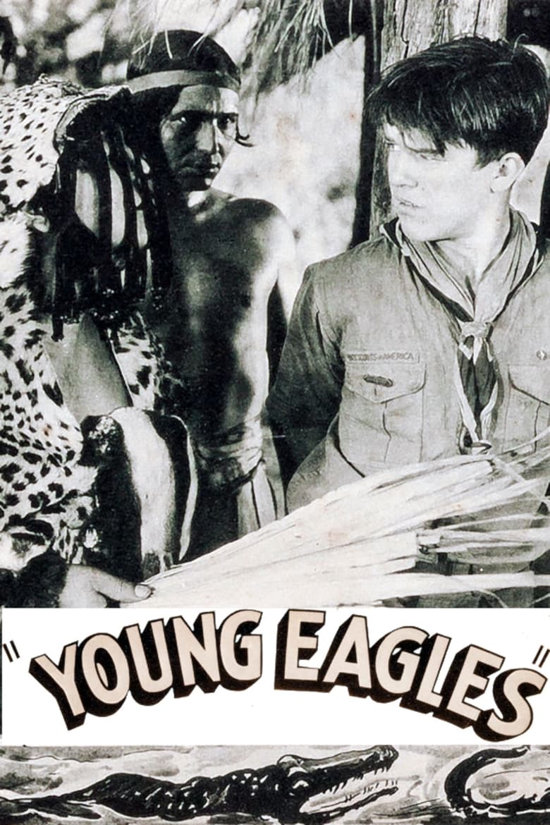 Poster of Young Eagles