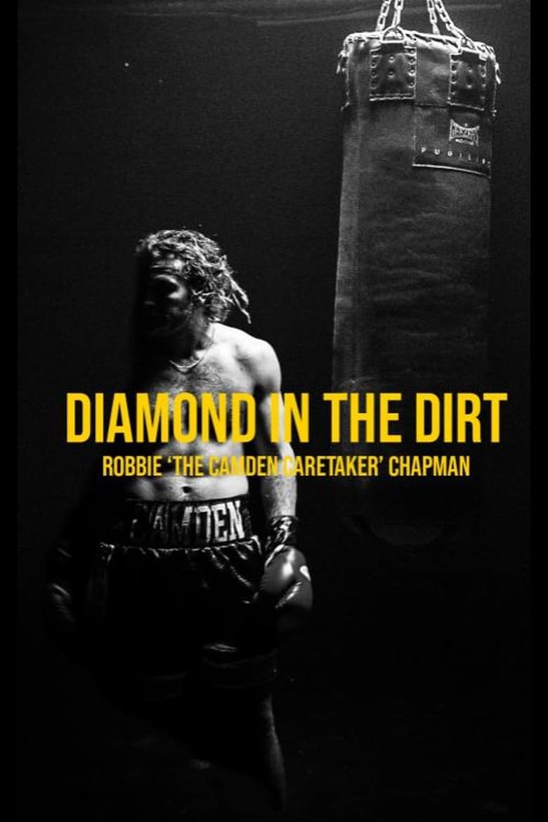 Poster of Diamond In The Dirt