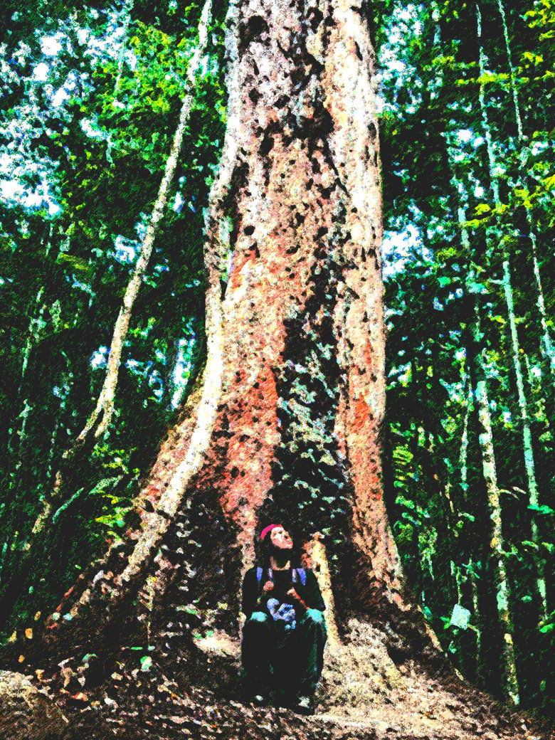 Poster of No Norte da Saudade