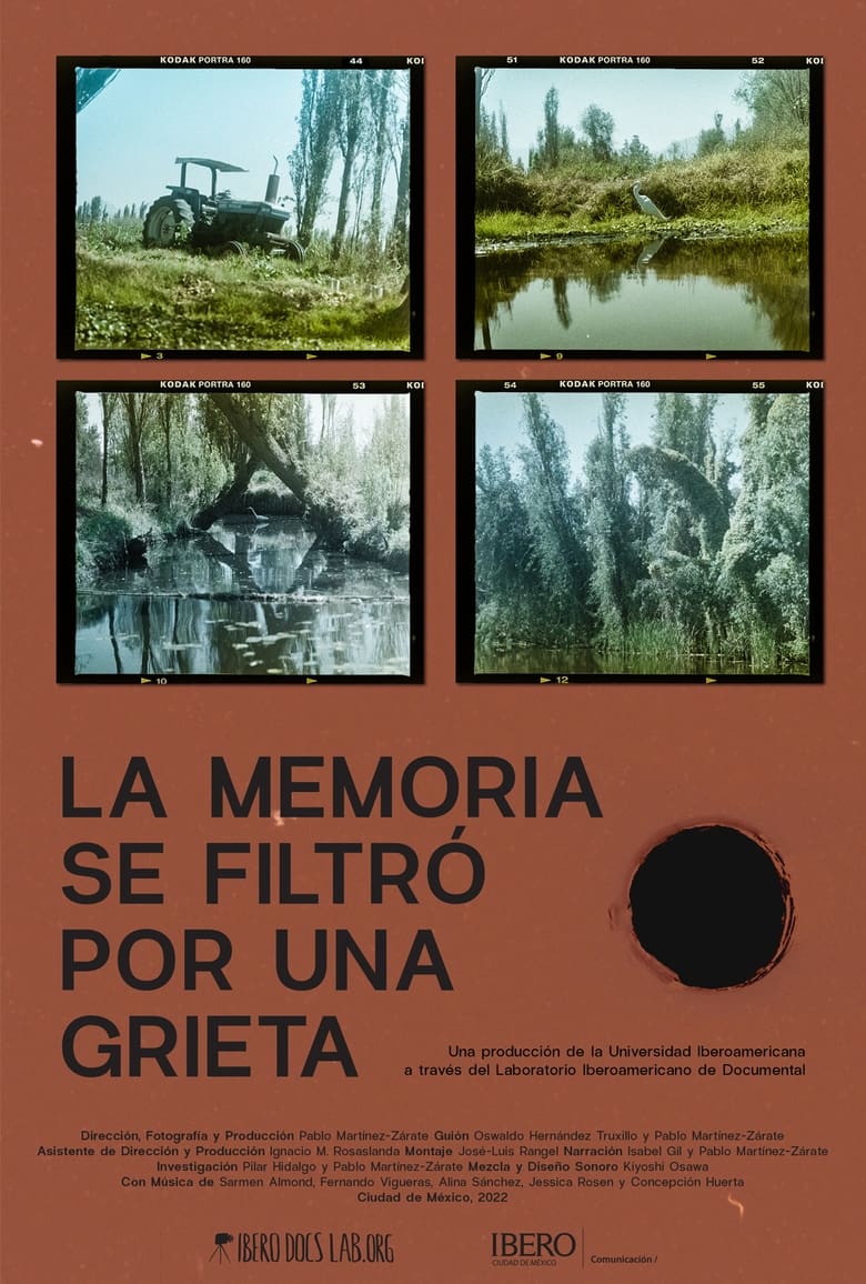 Poster of La memoria se filtró por una grieta