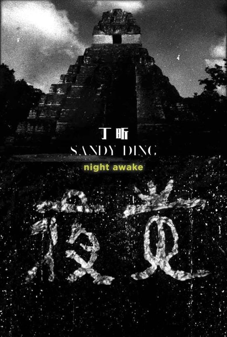 Poster of Night Awake