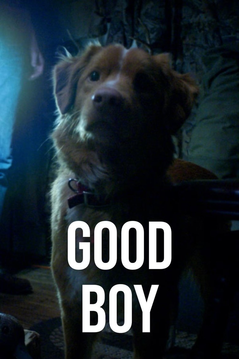 Poster of Good Boy