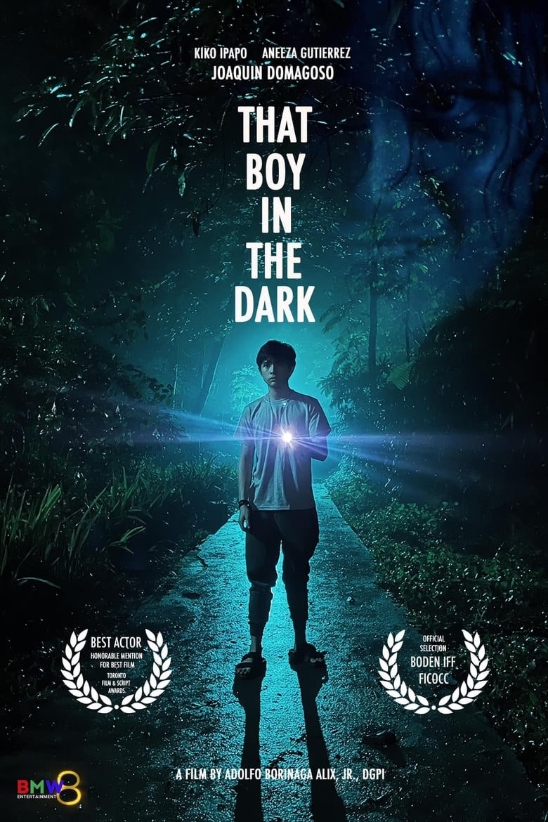 Poster of That Boy in the Dark