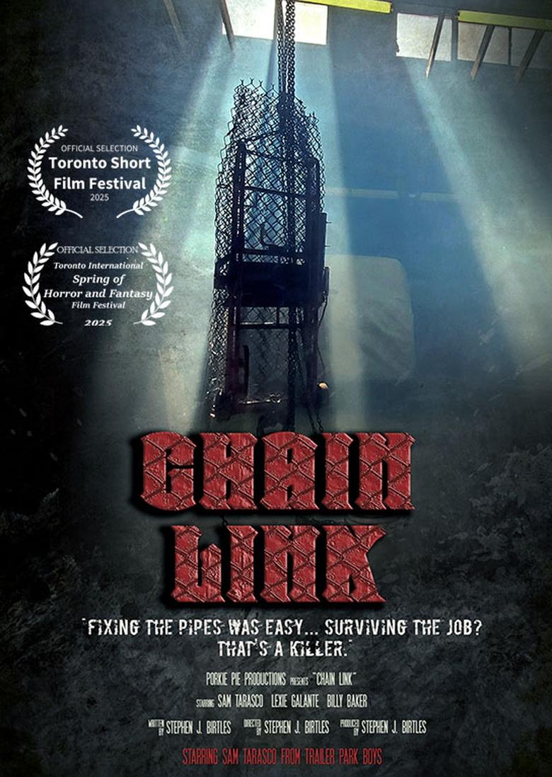 Poster of Chain Link